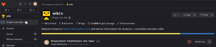 gif showing the steps of going to the issues menu under pinned and clicking new issue button